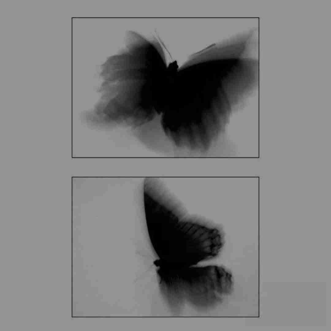 دانلود ریمیکس تو کجایی الان من موندم و مستی