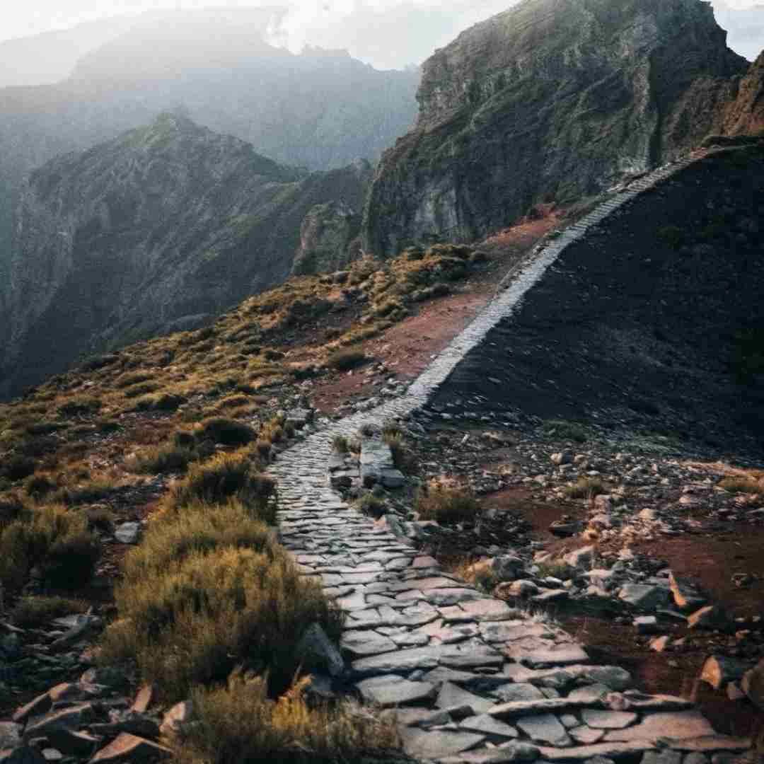 فاطمه عطایی مار بمیرم
