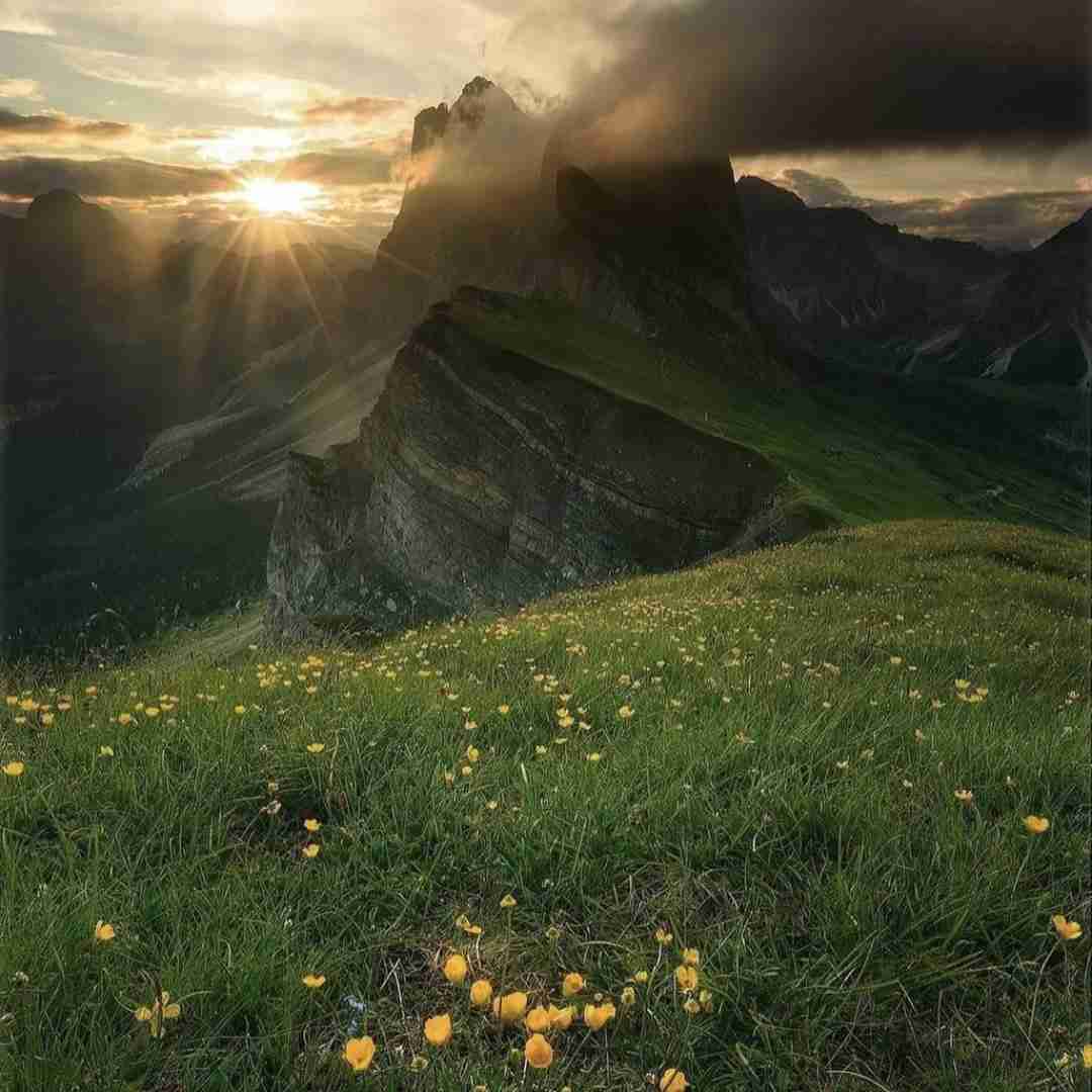 دانلود آهنگ آدرسمو دارن دیگه مخبرای نظام بیاین دیگه