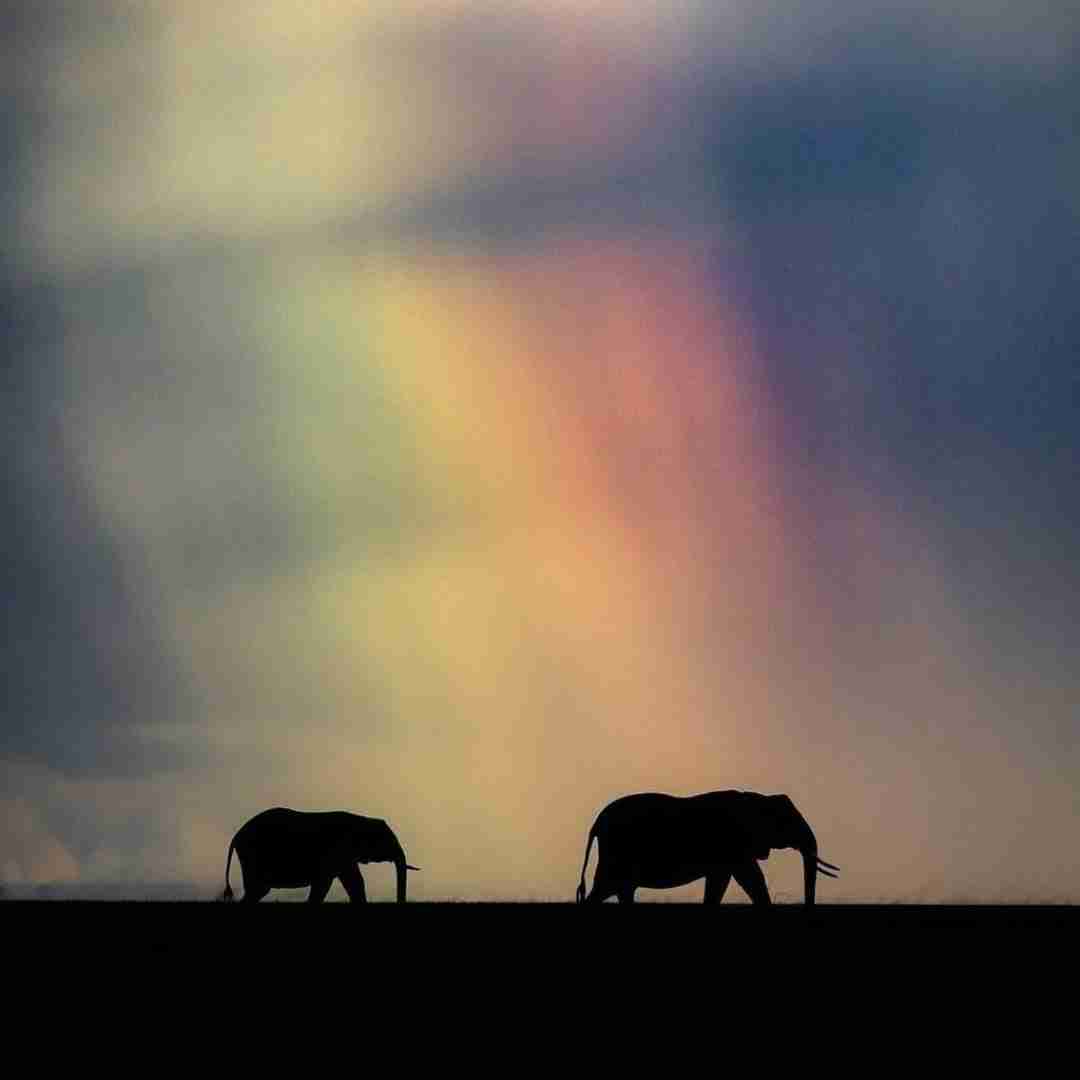 دانلود ریمیکس ترکی لعنت به همه شعرایی که بر وزن همه دردان