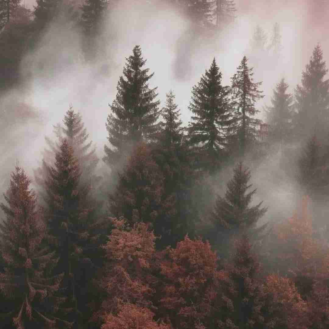 دانلود آهنگ دلم میخواد ساکت شم اگه حرفام بزارن