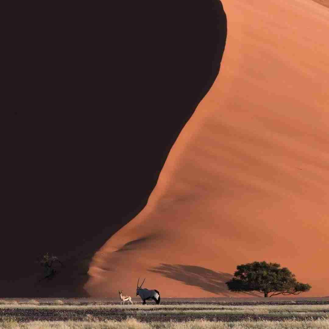 دانلود آهنگ ای مردم سرها بر نی باید گلبانگ آزادی می آید