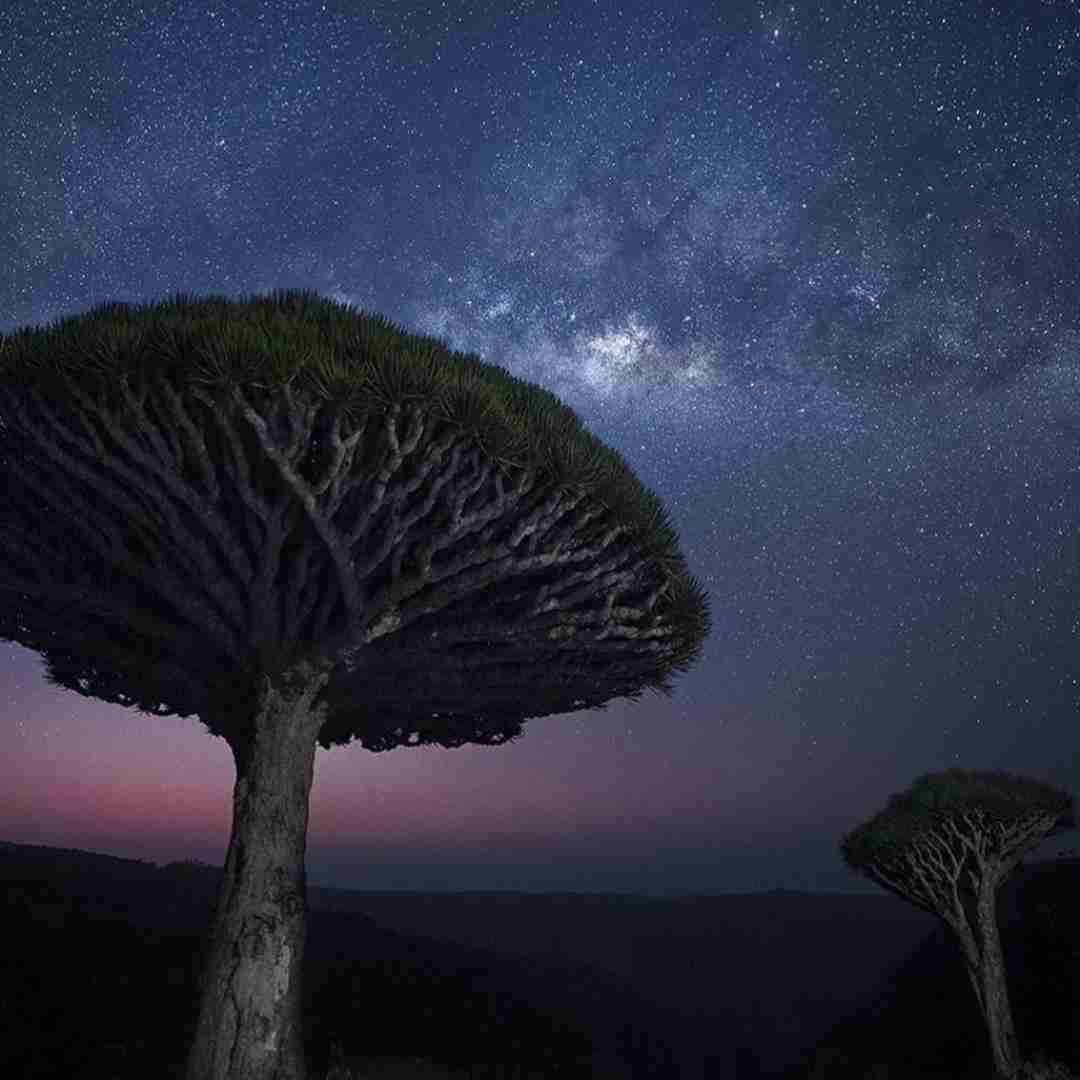  گلوله جنگی خیابون رنگی دلایی که سنگ