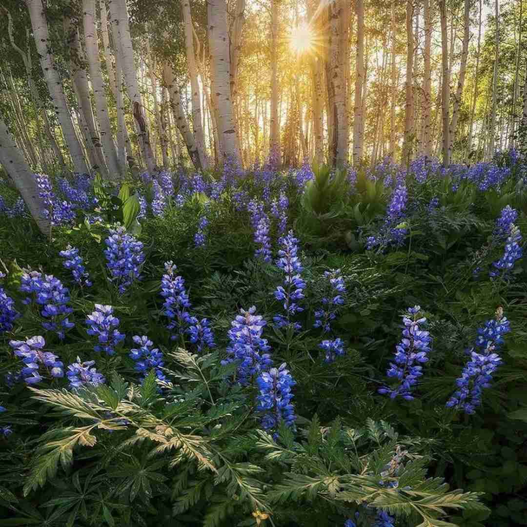 دانلود ریمیکس ببین چه سیرم ازت ببین چه روزی ازم سیاه کردی