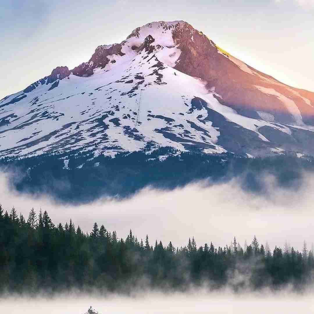 دانلود آهنگ بی دین بی دینم اگر ایمان شما هستید