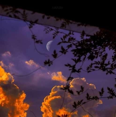 دانلود اهنگ زخممو دیدی نشدی دوای دردم فقط تو بهم زدی لبخند