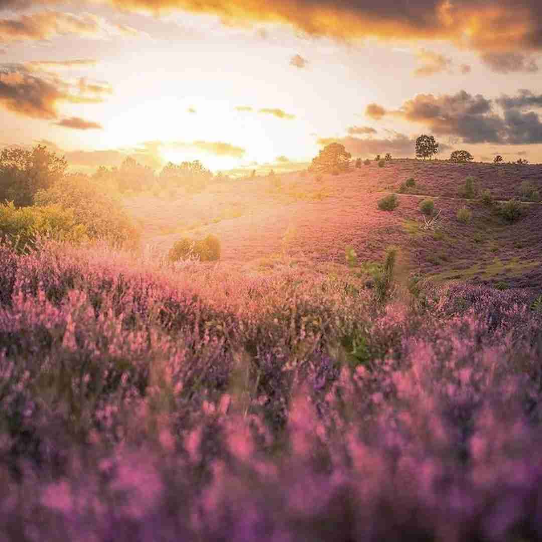 دانلود آهنگ من که تمومم بعد تو تویی خوبی بعد من