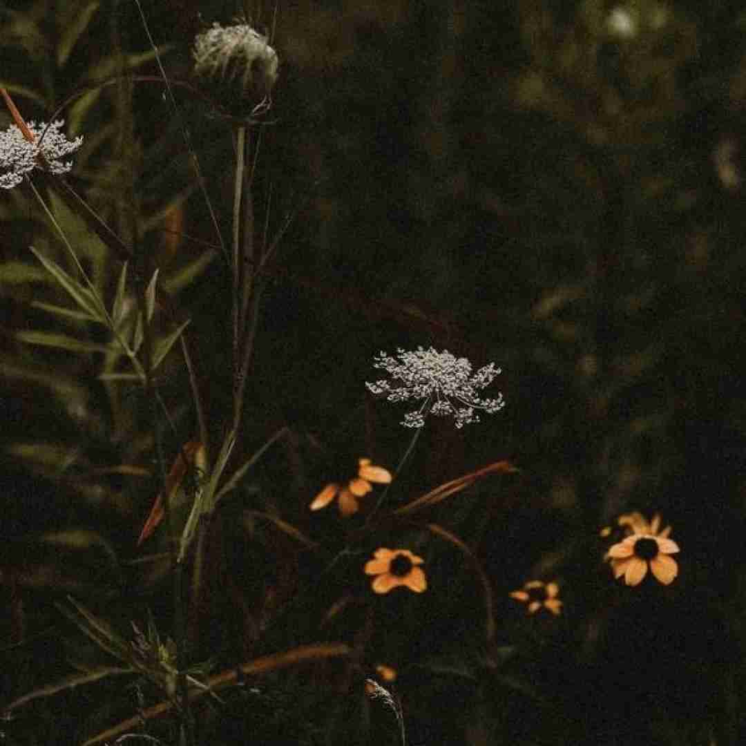 فرزند ایران و جان فدای میهن _ میکس اینستایی