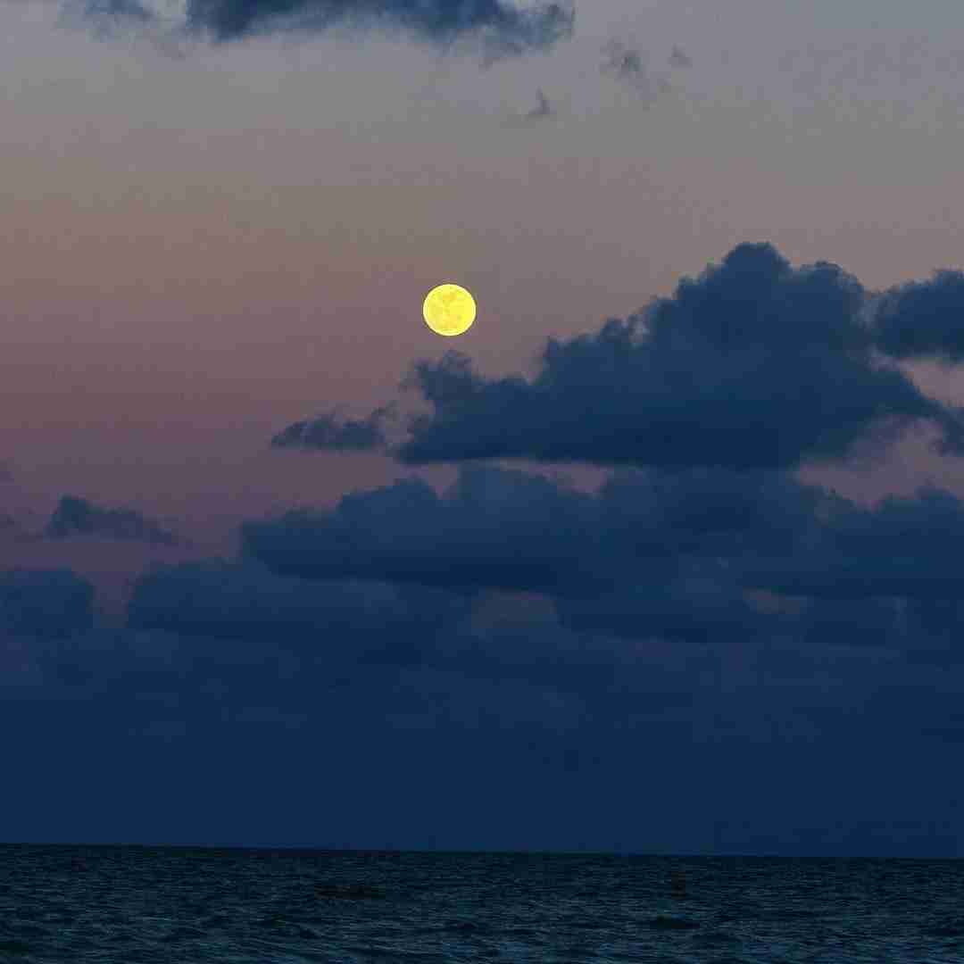 دانلود آهنگ بگو دمبل زدم ستمو جیم شخصیه مثل جتمو