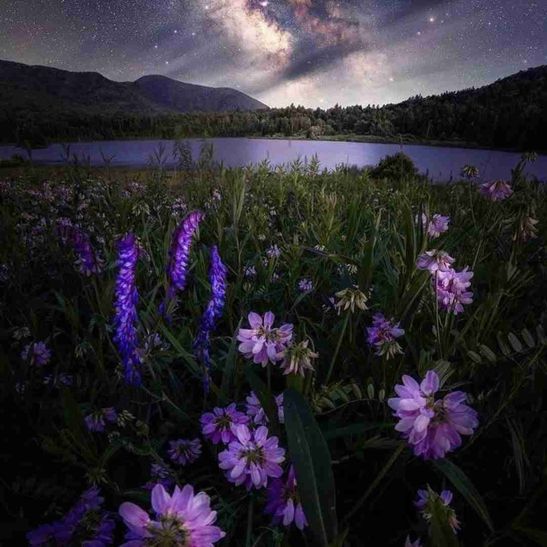 دانلود ریمیکس ترکی یه روز من بهت میرسم ای جانانم