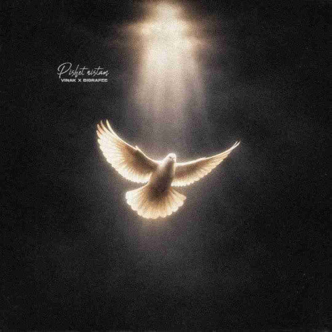 دانلود اهنگ ویناک به نام پیشت نیستم