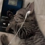 دانلود جدیدترین و بهترین ریمیکس‌ های کوردی ترند اینستا