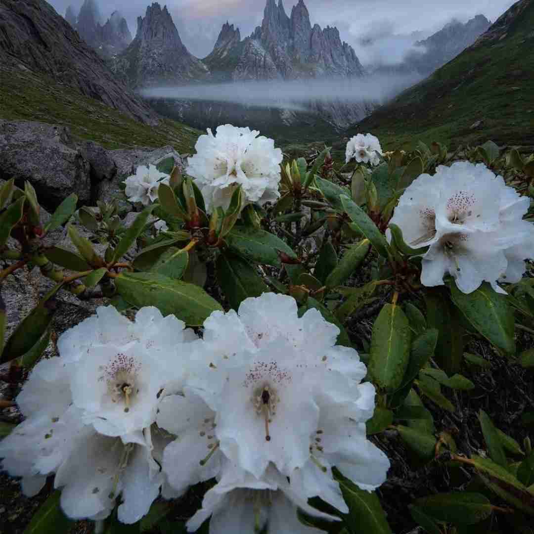 شب موهات واسه من بوی عطرم واسه تو با صدای مینل