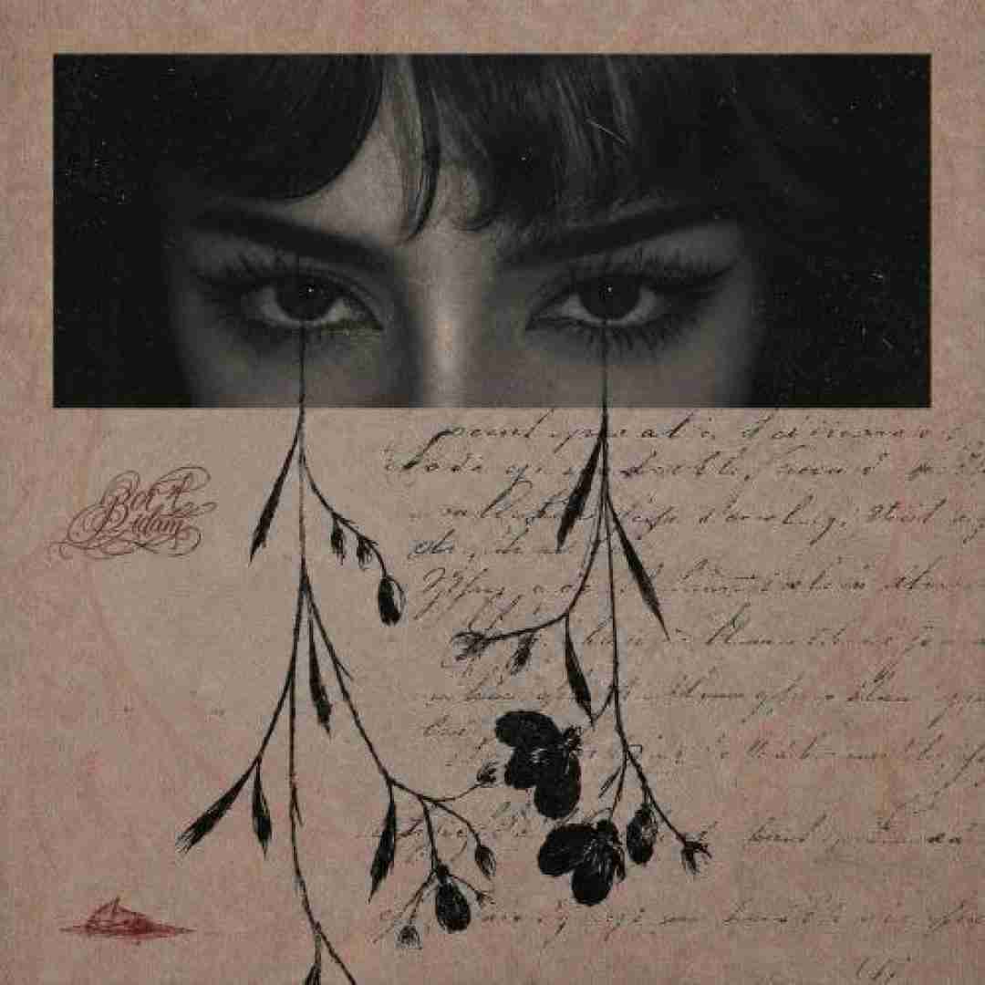 پیدار بریدم