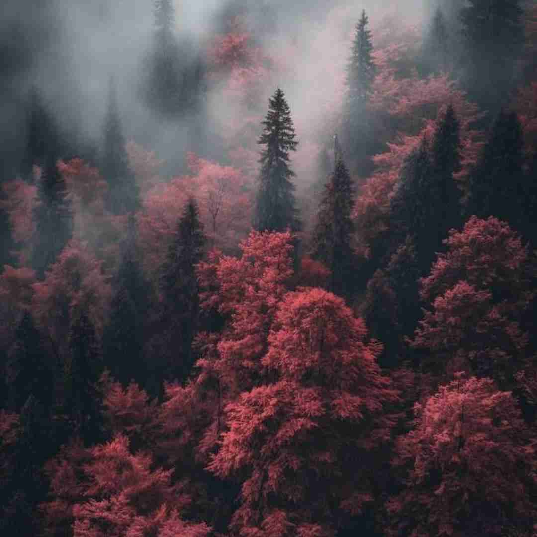 میکنم تتو اسمتو وسط سینم با صدای زن