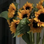 یه بار دیگه میخوام تو این بازی بهت ببازم یه بار دیگه میخوام تو این بازی بهت ببازم