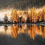 بین قلبم یک نفر دارو ندارم یک نفر با صدای زن و مرد بین قلبم یک نفر دارو ندارم یک نفر با صدای زن و مرد