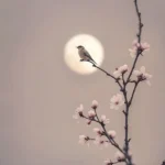 دیگه نمیبازم دلو دیگه نمیخوامت تورو