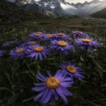 روزای بد برای من روزای خوب برای تو روزای بد برای من روزای خوب برای تو