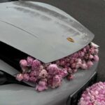 دانلود گلچین جدیدترین آهنگ های ایرانی و رپ فارسی