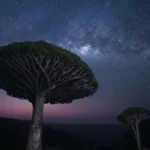 دانلود آهنگ جدید مرسی عزیزم دسته گل رزتو دیدم با صدای زن دانلود آهنگ جدید مرسی عزیزم دسته گل رزتو دیدم با صدای زن